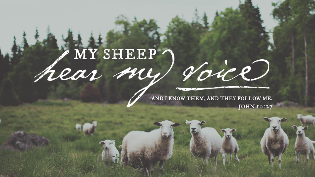 Spiritual Disciplines: Worship Through Music (Musica&nbsp;Divina)